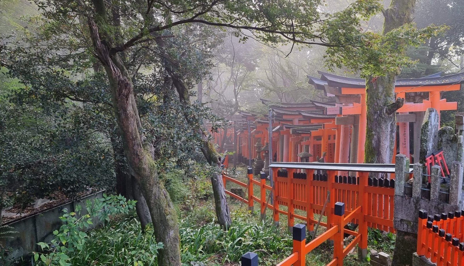 Fushimi Inari Shrine